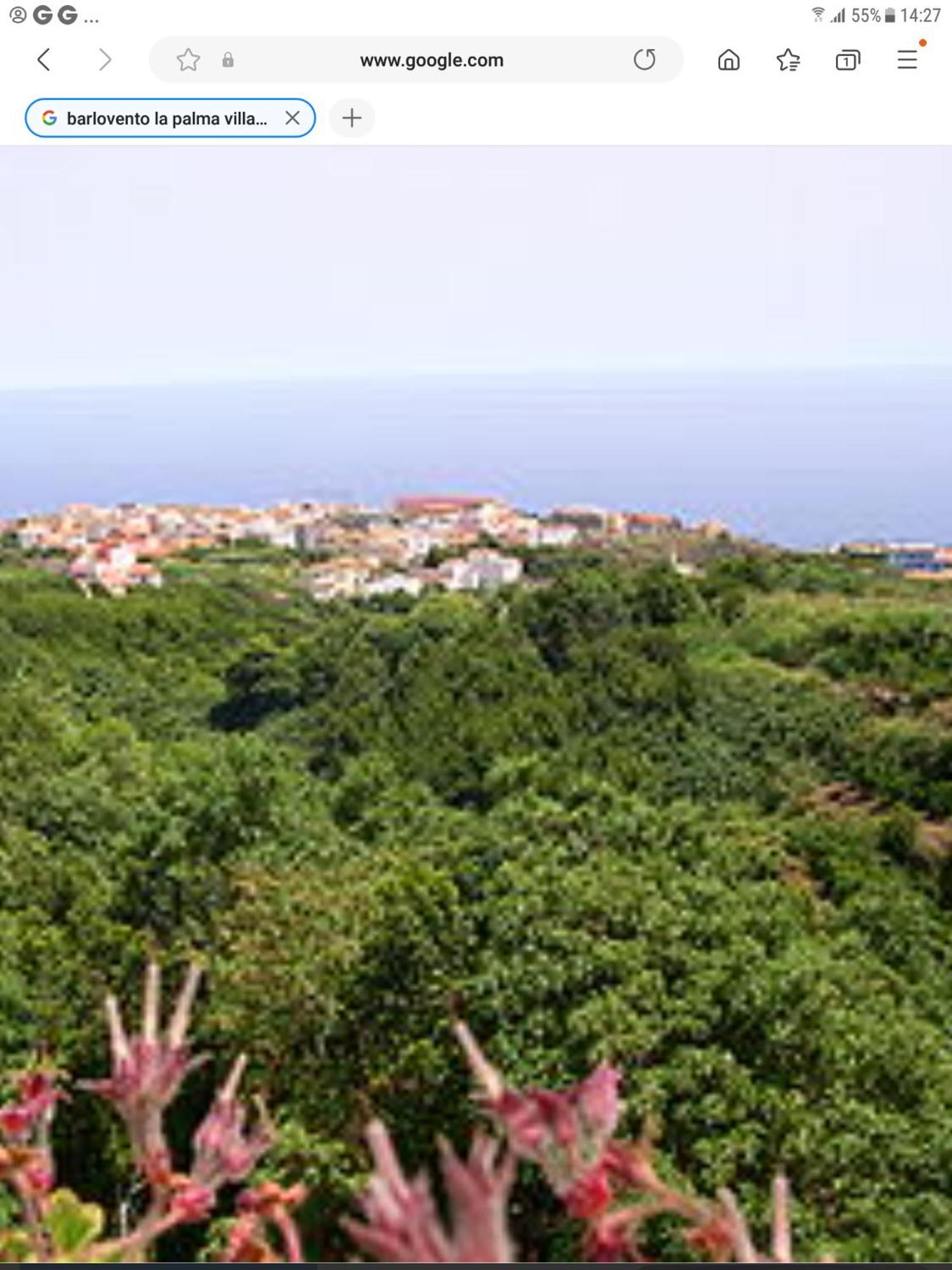 Terraza Del Atlantico 1 + 2 Διαμέρισμα Barlovento Εξωτερικό φωτογραφία